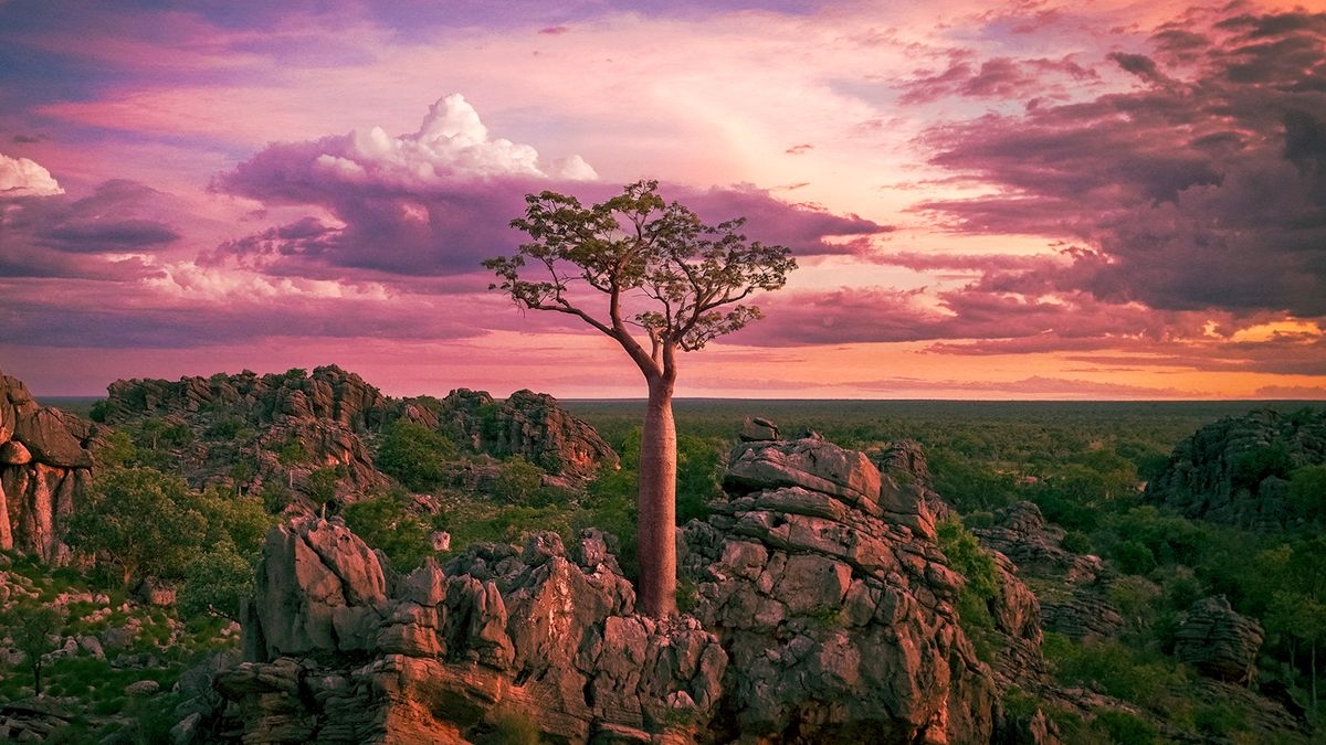 The Kimberley: Australia's Wild West