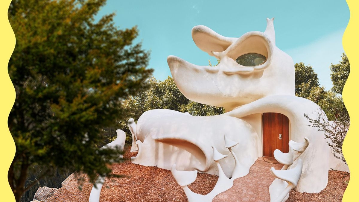 Wild Vacation Rentals