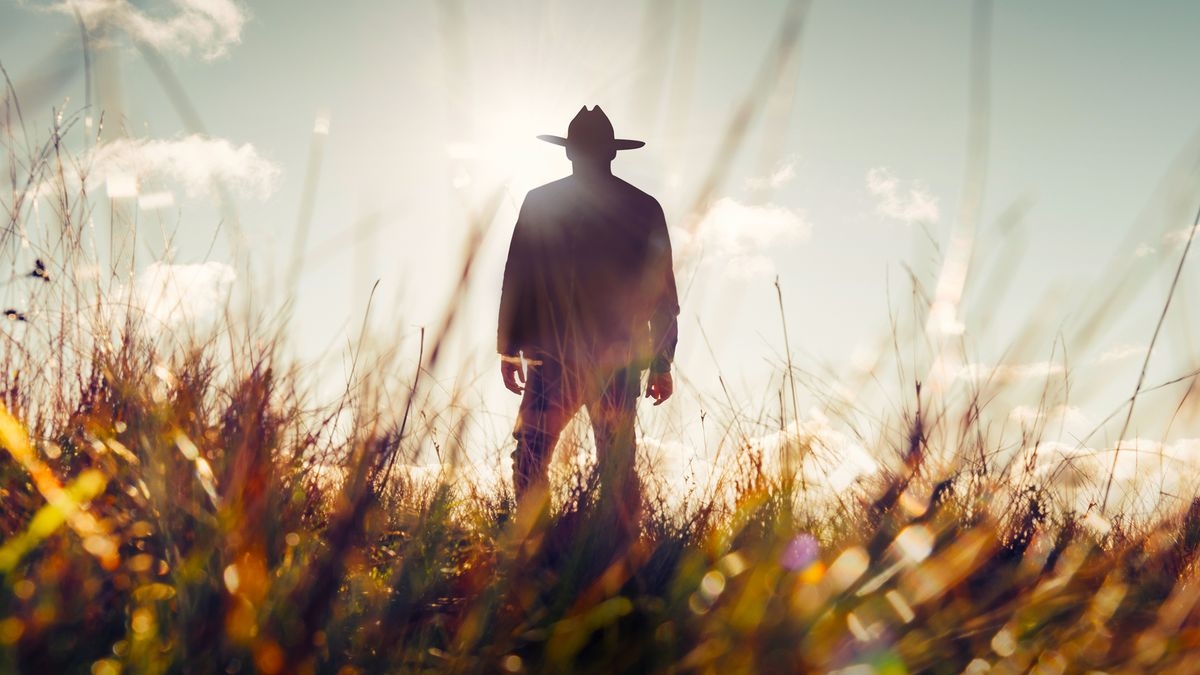 Wardens of the North