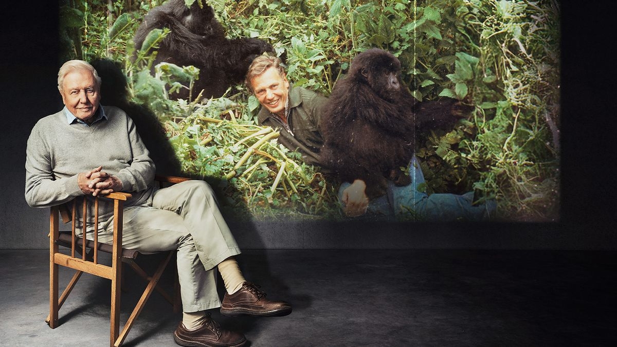 Life on Earth: Attenborough's Greatest Adventure