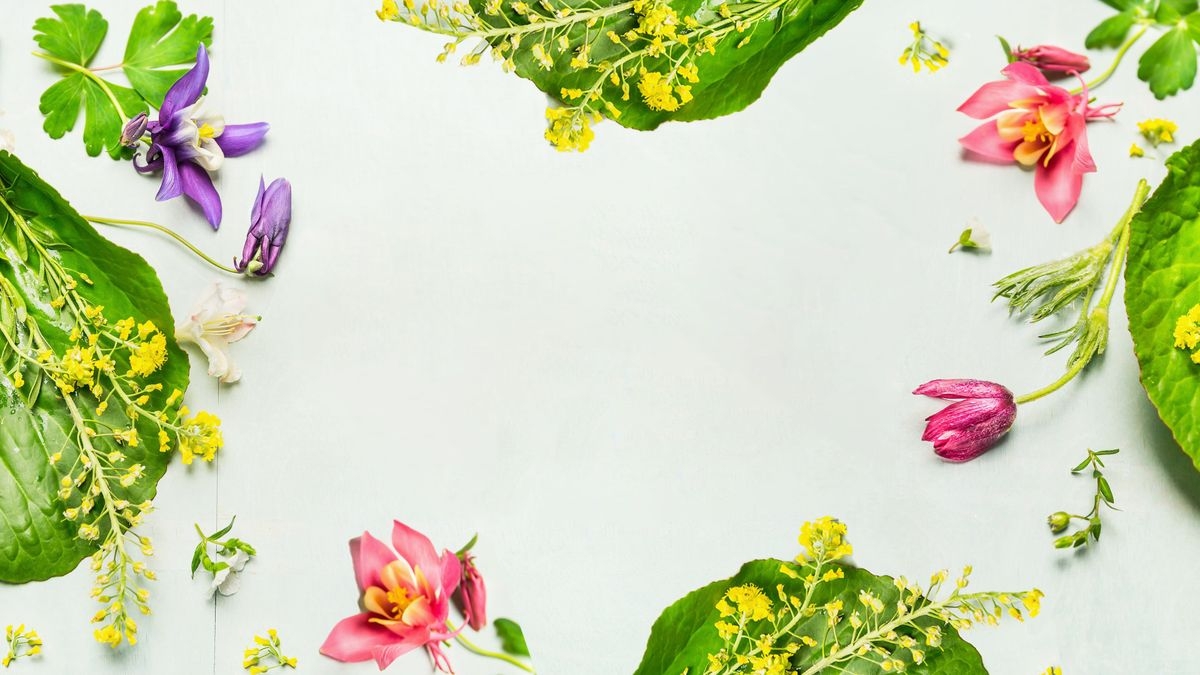Home Remedies With Dr. Eric Zielinski