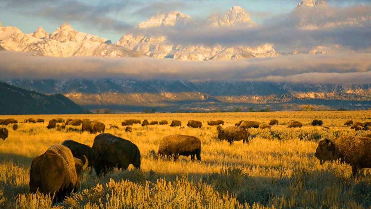 America's National Parks