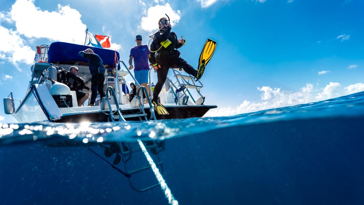 Destination Dive