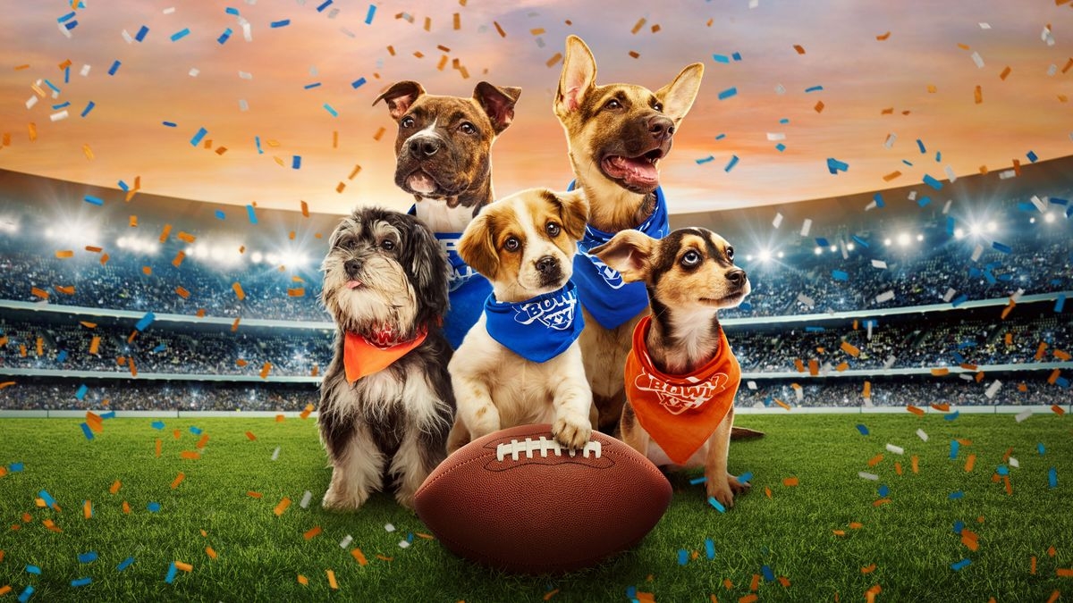 Puppy Bowl XXII