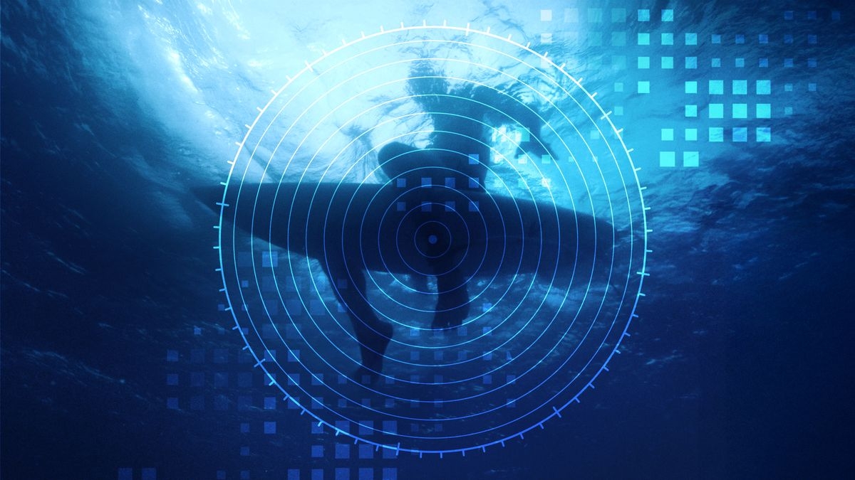 Investigation Shark Attack