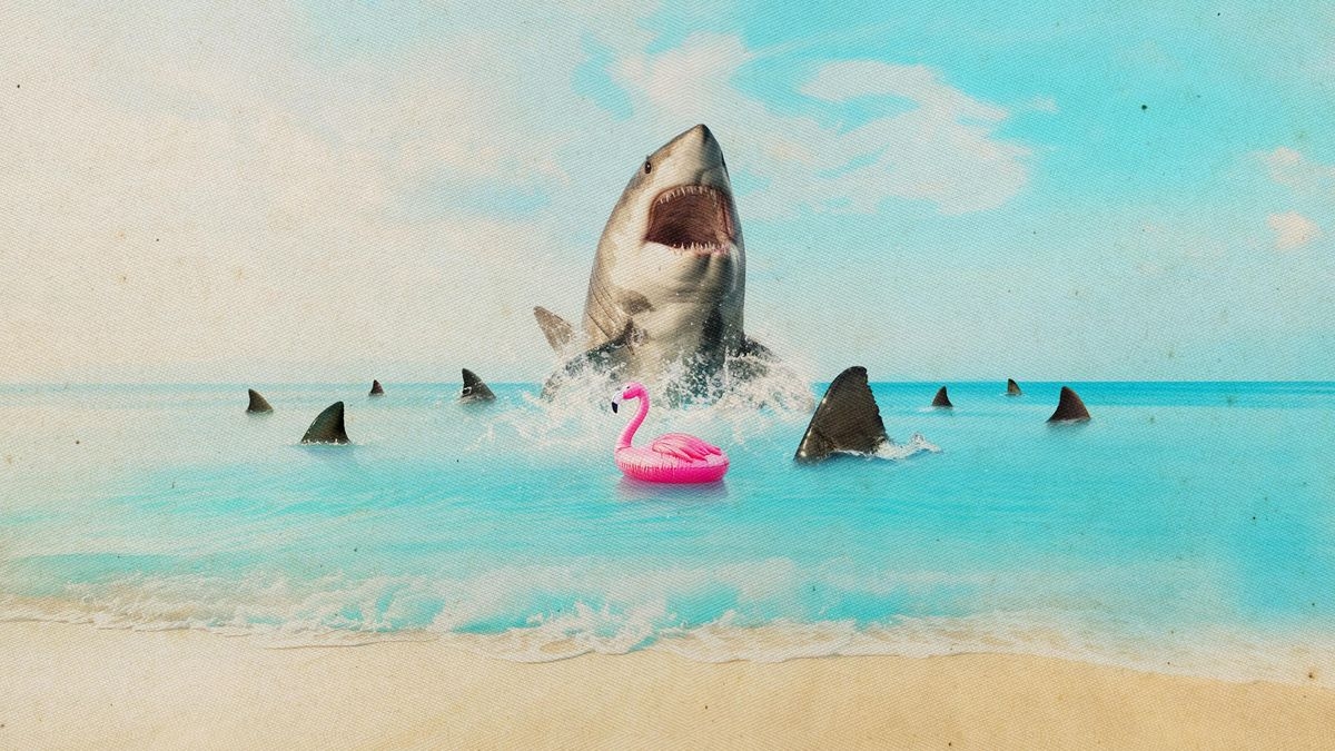 Florida's Death Beach