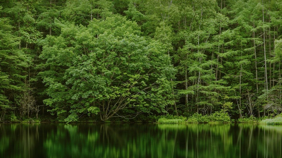 Pre-Surgery Calming: Audio Meditation