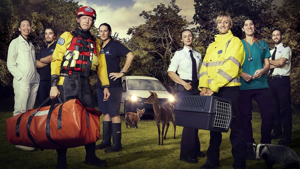 Saving Britain's Wildlife