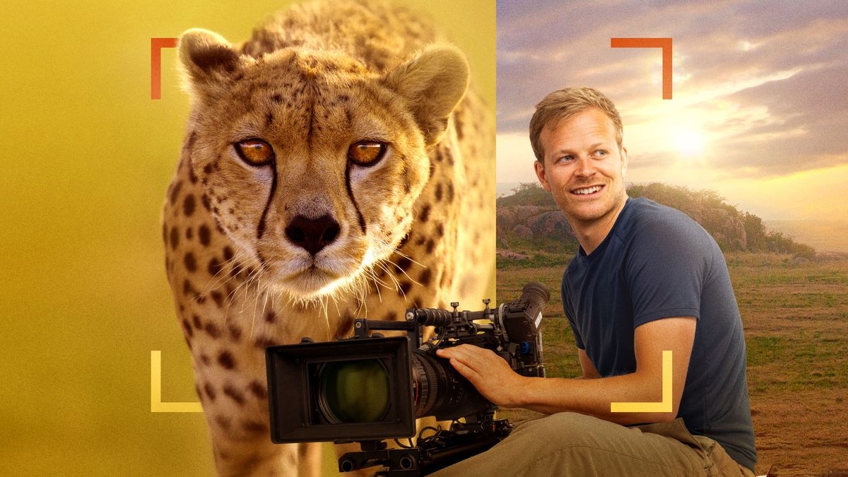 Cheetahs Up Close with Bertie Gregory