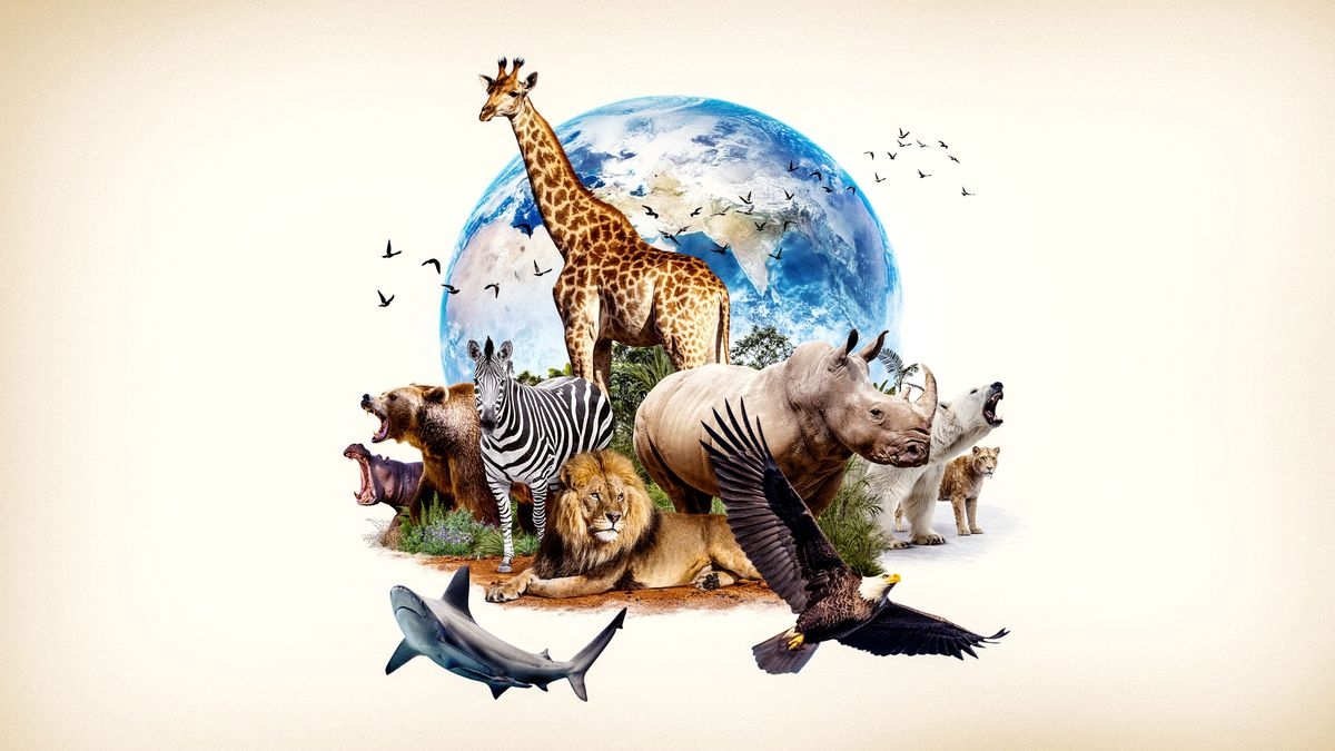 World's Most Iconic Animals