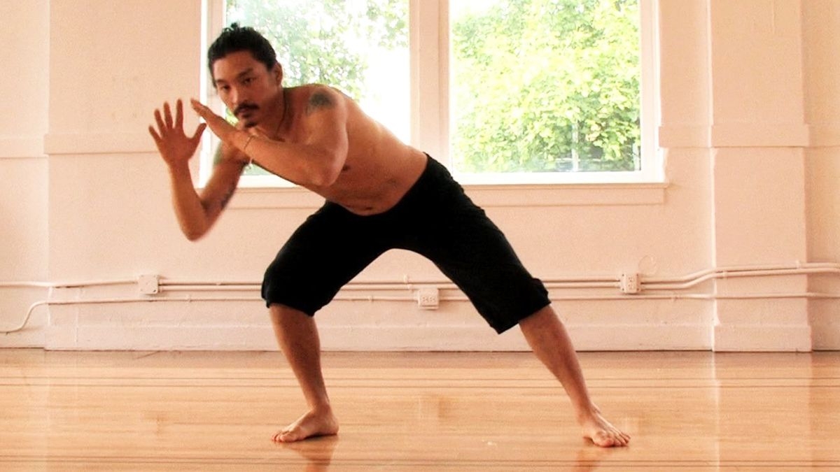 Introduction to Capoeira