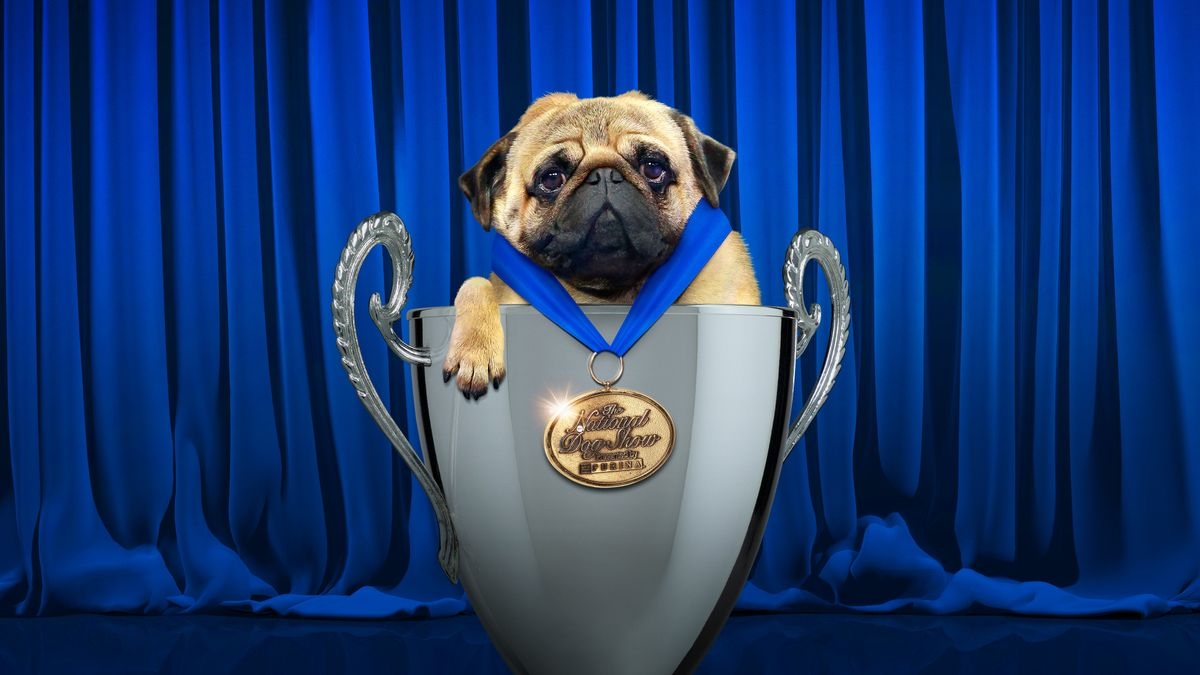 The National Dog Show