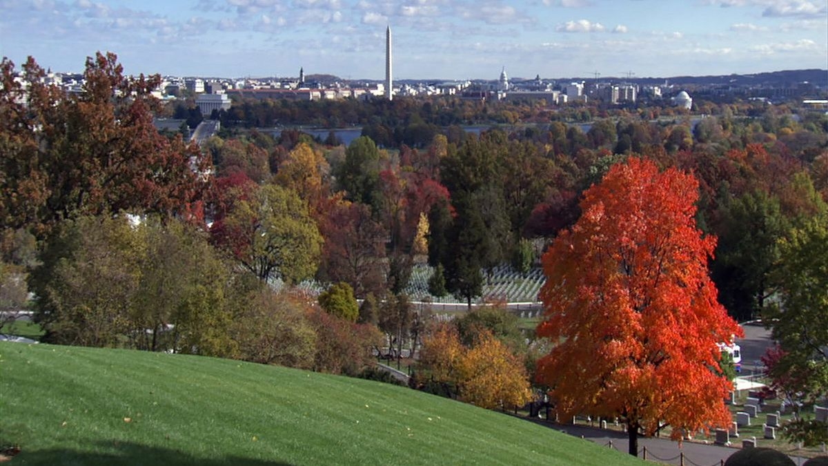 Arlington: Call to Honor