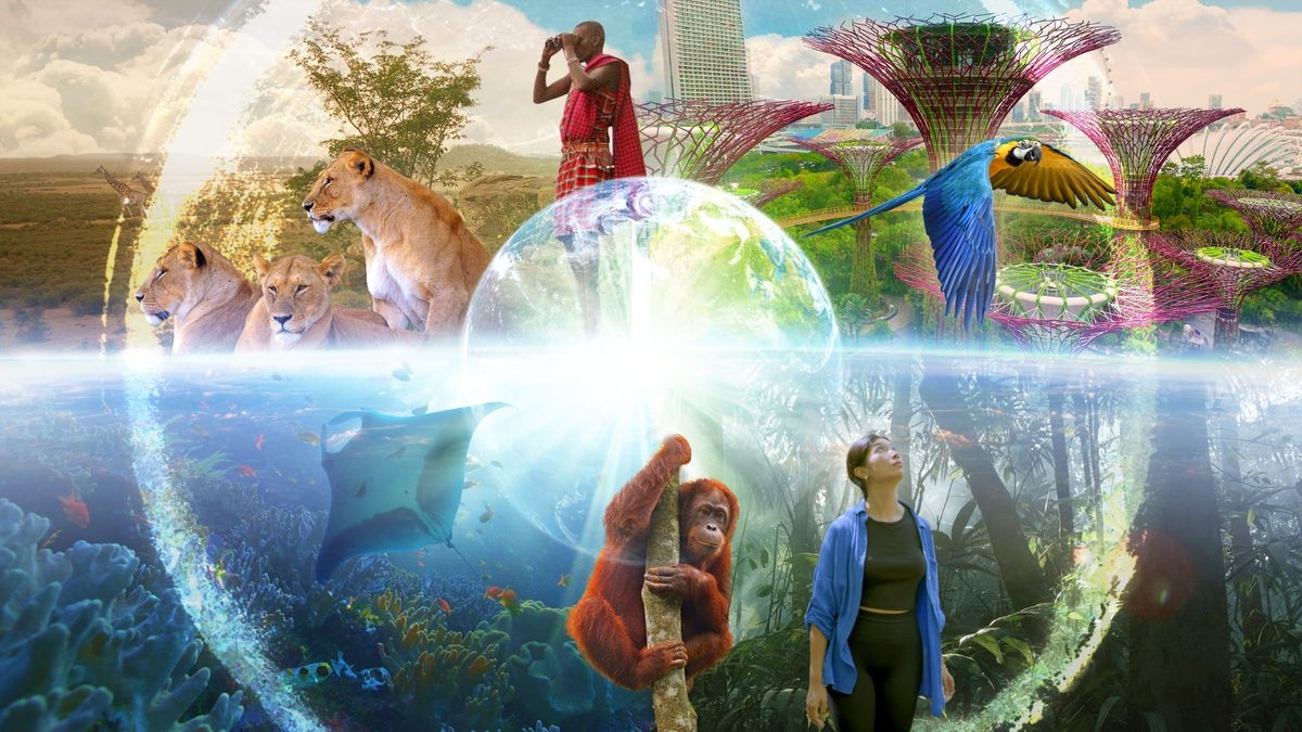 Shared Planet