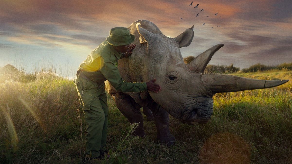 The Last Rhinos: A New Hope