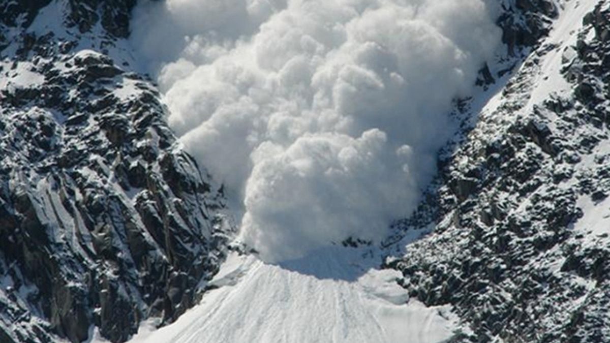 So You Think You'd Survive?