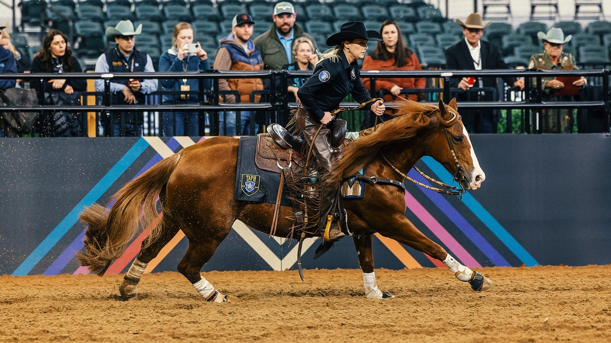 The American Performance Horseman