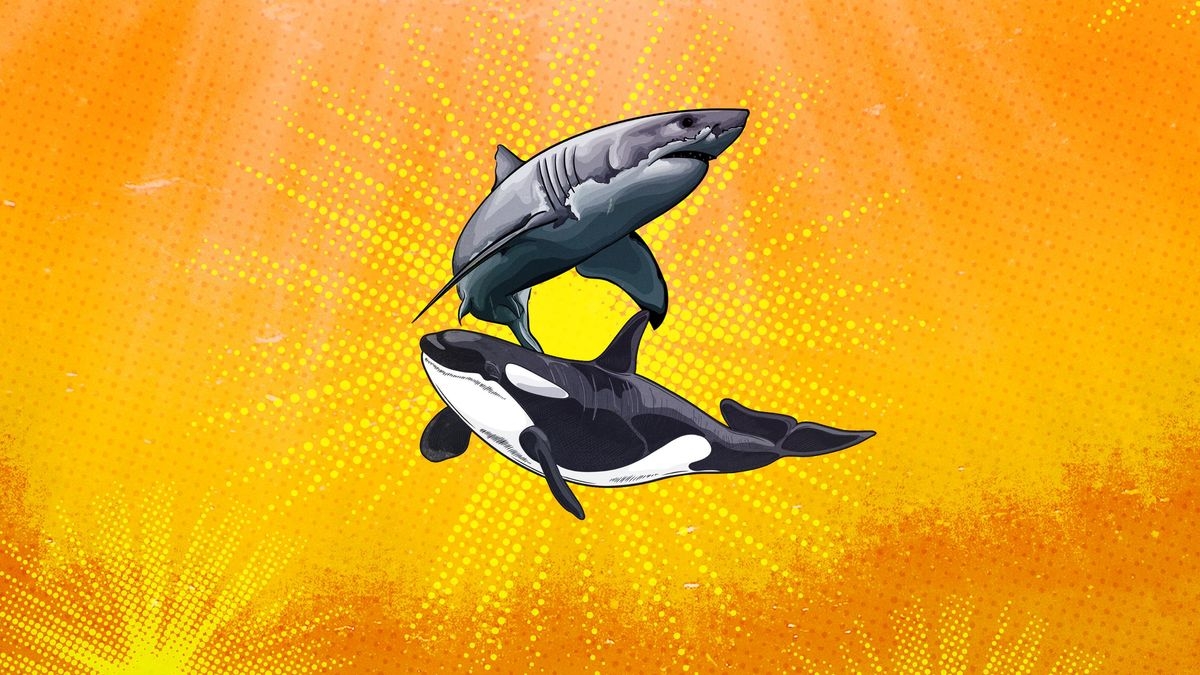 Great White Assassins