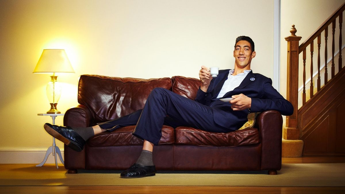 World's Tallest Man: The Next Chapter