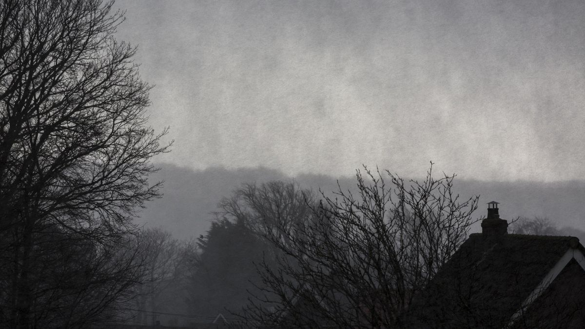 Hometown Homicide: Local Mysteries