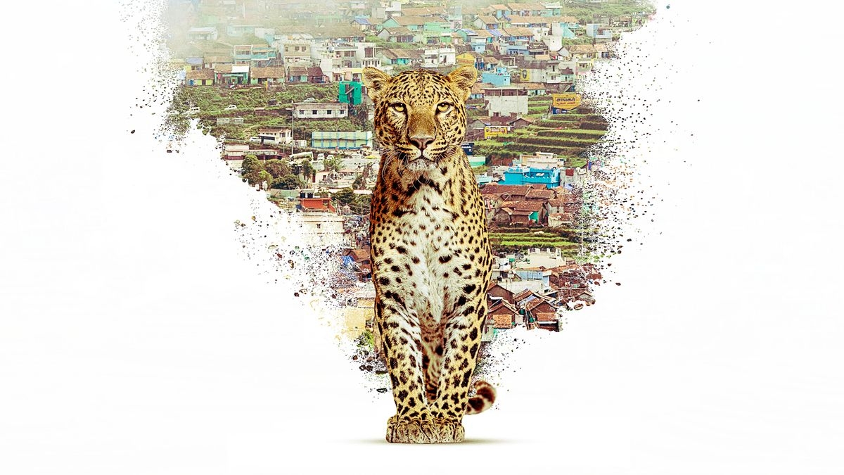 Nilgiris - A Shared Wilderness