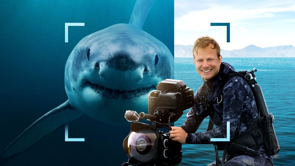Sharks Up Close with Bertie Gregory